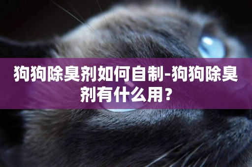 狗狗除臭劑如何自制-狗狗除臭劑有什么用？