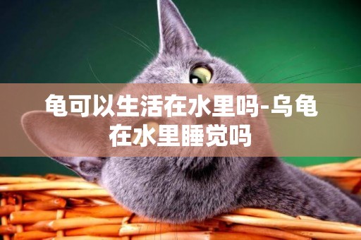 龜可以生活在水里嗎-烏龜在水里睡覺嗎
