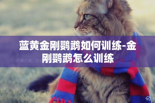 藍黃金剛鸚鵡如何訓練-金剛鸚鵡怎么訓練