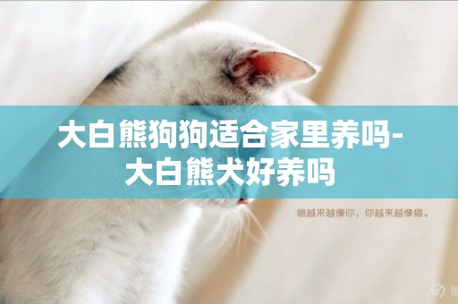大白熊狗狗適合家里養嗎-大白熊犬好養嗎