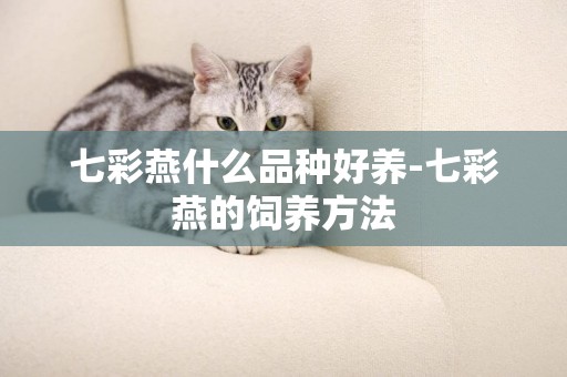 七彩燕什么品種好養-七彩燕的飼養方法