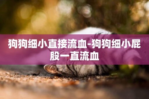 狗狗細小直接流血-狗狗細小屁股一直流血