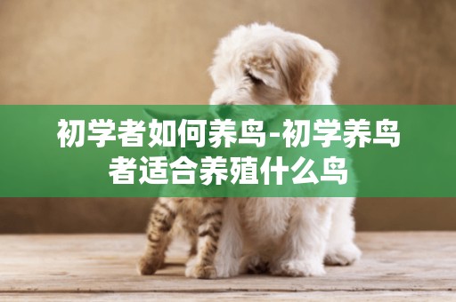初學者如何養鳥-初學養鳥者適合養殖什么鳥