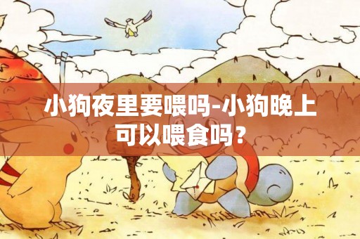 小狗夜里要喂嗎-小狗晚上可以喂食嗎？