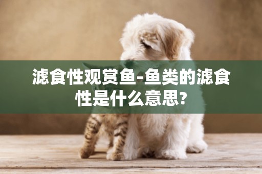 濾食性觀賞魚-魚類的濾食性是什么意思?