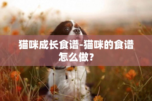 貓咪成長食譜-貓咪的食譜怎么做？