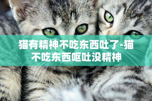 貓有精神不吃東西吐了-貓不吃東西嘔吐沒精神