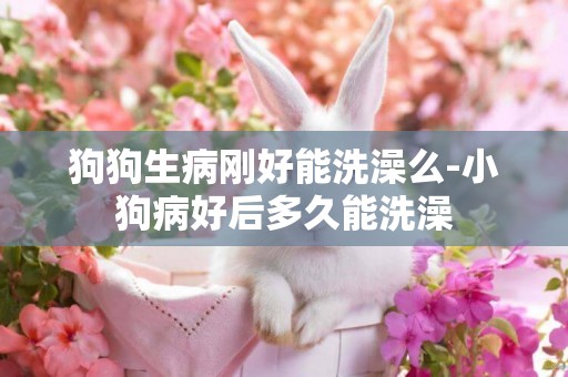 狗狗生病剛好能洗澡么-小狗病好后多久能洗澡