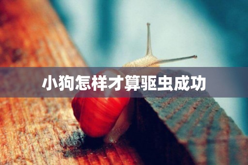 小狗怎樣才算驅蟲成功