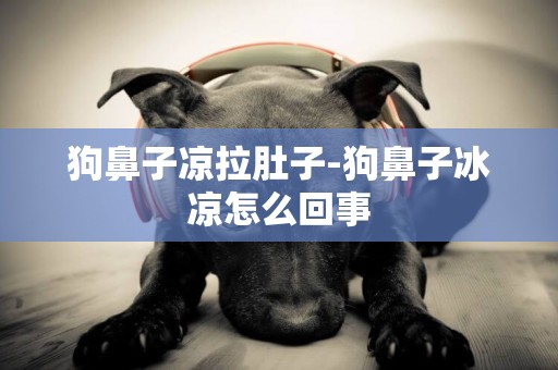 狗鼻子涼拉肚子-狗鼻子冰涼怎么回事