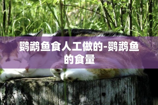 鸚鵡魚食人工做的-鸚鵡魚的食量