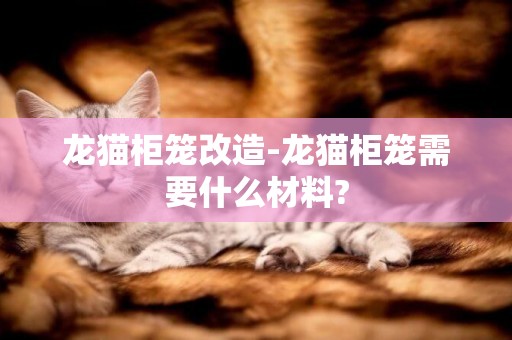 龍貓柜籠改造-龍貓柜籠需要什么材料?