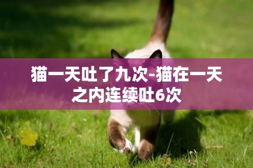 貓一天吐了九次-貓在一天之內連續吐6次