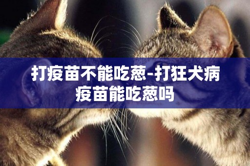 打疫苗不能吃蔥-打狂犬病疫苗能吃蔥嗎