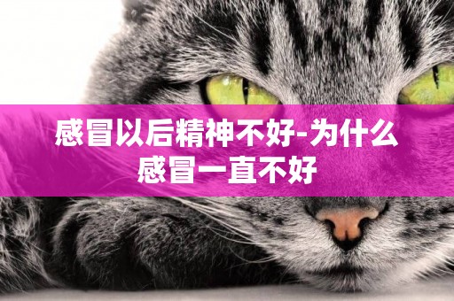 感冒以后精神不好-為什么感冒一直不好