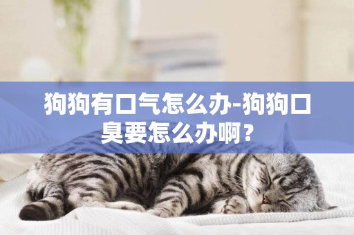 狗狗有口氣怎么辦-狗狗口臭要怎么辦啊？