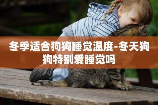 冬季適合狗狗睡覺溫度-冬天狗狗特別愛睡覺嗎