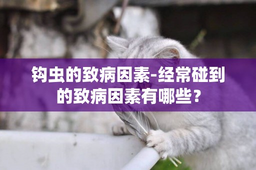 鉤蟲的致病因素-經常碰到的致病因素有哪些？