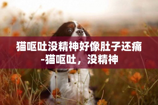 貓嘔吐沒精神好像肚子還痛-貓嘔吐，沒精神