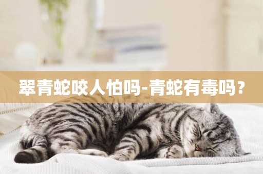 翠青蛇咬人怕嗎-青蛇有毒嗎？