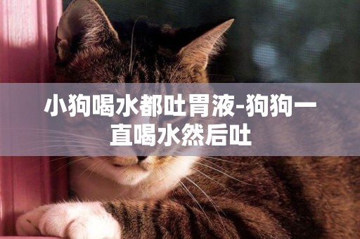 小狗喝水都吐胃液-狗狗一直喝水然后吐