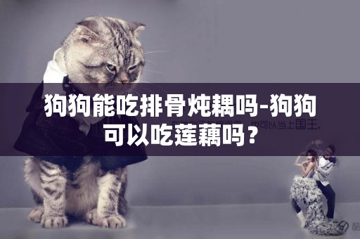 狗狗能吃排骨燉耦嗎-狗狗可以吃蓮藕嗎？