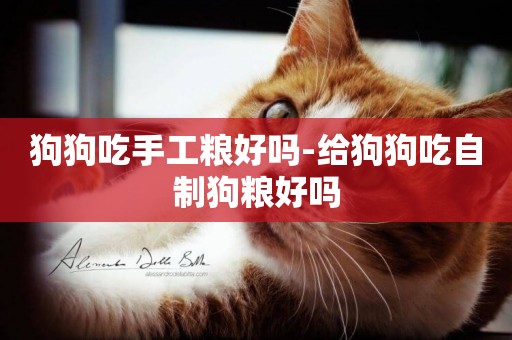狗狗吃手工糧好嗎-給狗狗吃自制狗糧好嗎
