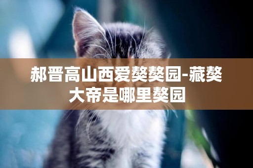 郝晉高山西愛獒獒園-藏獒大帝是哪里獒園