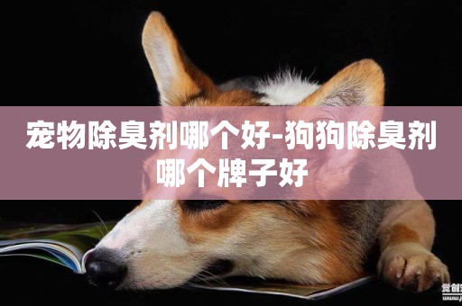 寵物除臭劑哪個好-狗狗除臭劑哪個牌子好