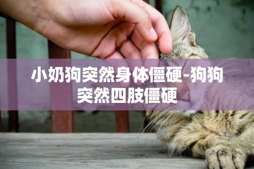小奶狗突然身體僵硬-狗狗突然四肢僵硬