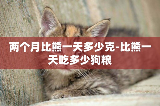 兩個月比熊一天多少克-比熊一天吃多少狗糧