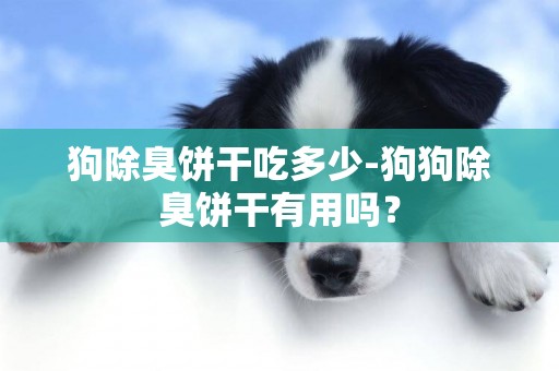 狗除臭餅干吃多少-狗狗除臭餅干有用嗎？