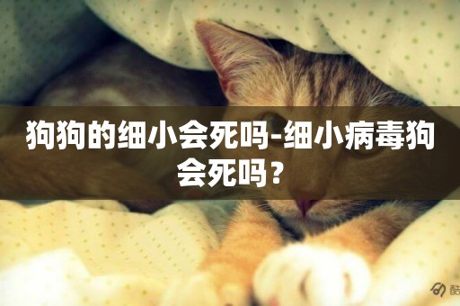 狗狗的細小會死嗎-細小病毒狗會死嗎？