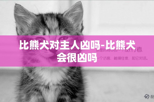 比熊犬對主人兇嗎-比熊犬會很兇嗎