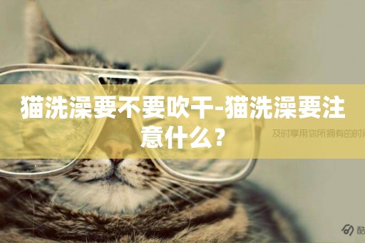 貓洗澡要不要吹干-貓洗澡要注意什么？
