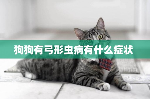 狗狗有弓形蟲病有什么癥狀 