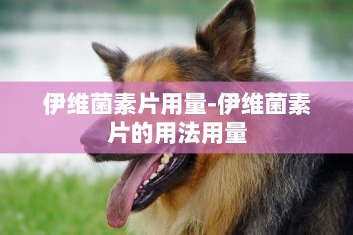 伊維菌素片用量-伊維菌素片的用法用量