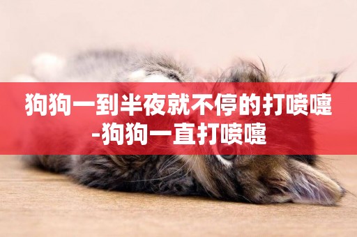 狗狗一到半夜就不停的打噴嚏-狗狗一直打噴嚏