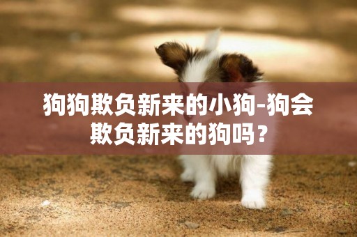 狗狗欺負新來的小狗-狗會欺負新來的狗嗎？