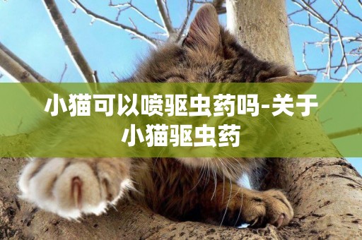 小貓可以噴驅蟲藥嗎-關于小貓驅蟲藥