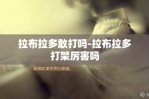 拉布拉多敢打嗎-拉布拉多打架厲害嗎