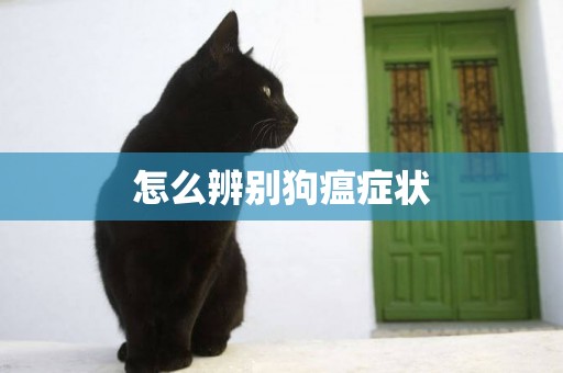 怎么辨別狗瘟癥狀