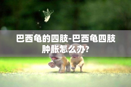 巴西龜的四肢-巴西龜四肢腫脹怎么辦?