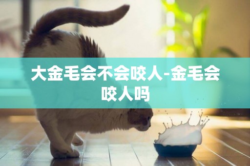 大金毛會不會咬人-金毛會咬人嗎