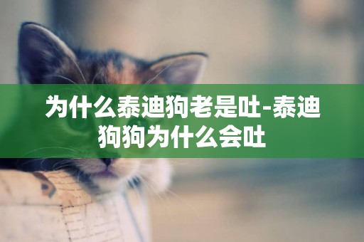 為什么泰迪狗老是吐-泰迪狗狗為什么會吐