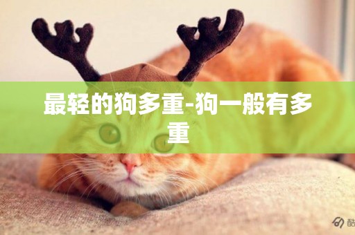 最輕的狗多重-狗一般有多重