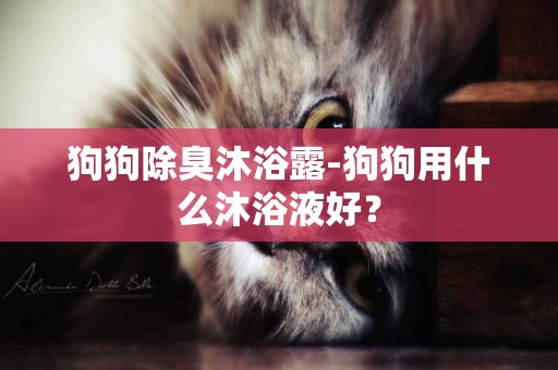 狗狗除臭沐浴露-狗狗用什么沐浴液好？