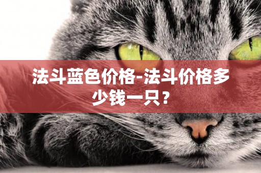 法斗藍色價格-法斗價格多少錢一只？