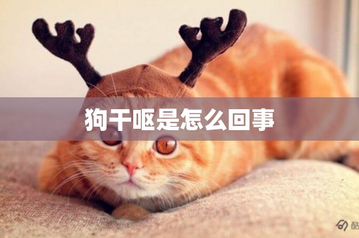 狗干嘔是怎么回事