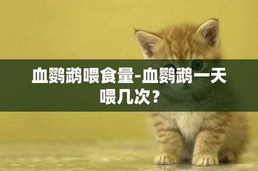 血鸚鵡喂食量-血鸚鵡一天喂幾次？